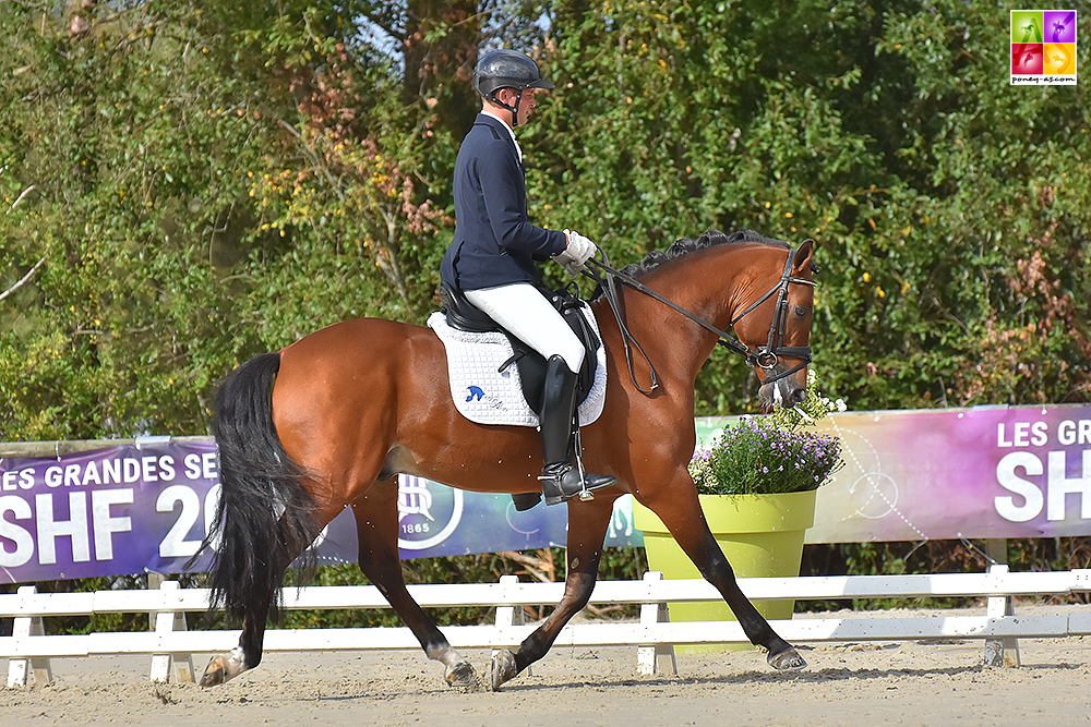 Envoyé Spécial du Luy et Julien Vincent – ph. Poney As 