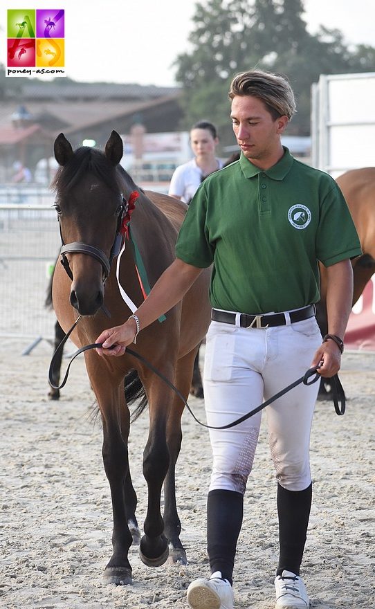 Imerya du Garon, victorieuse de la classe des femelles d'1 an - ph. Poney As