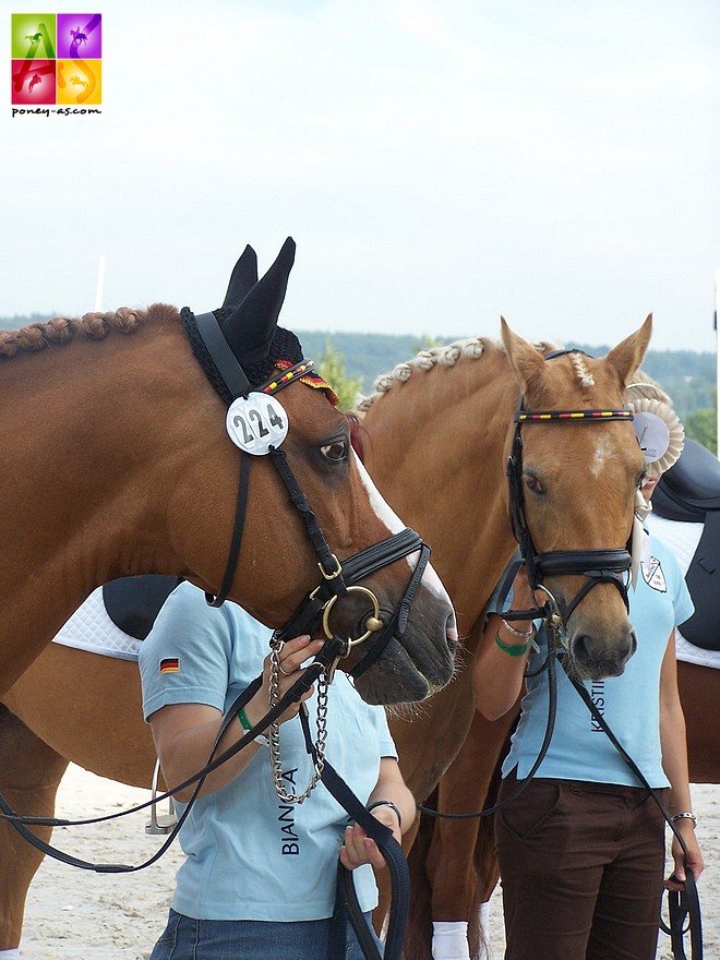 Dornik B et Dulcia, photo prise à Avenches en 2008 - ph. Poney As