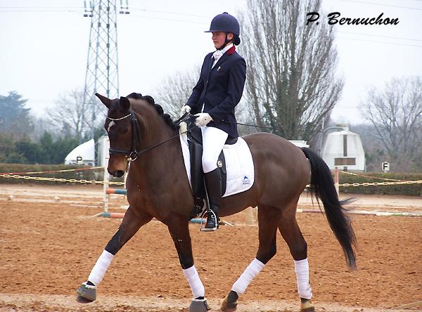 Alizée en selle ici sur Maxence des Bergers lors du Grand Prix Poney de Poitiers - ph. P. Bernuchon