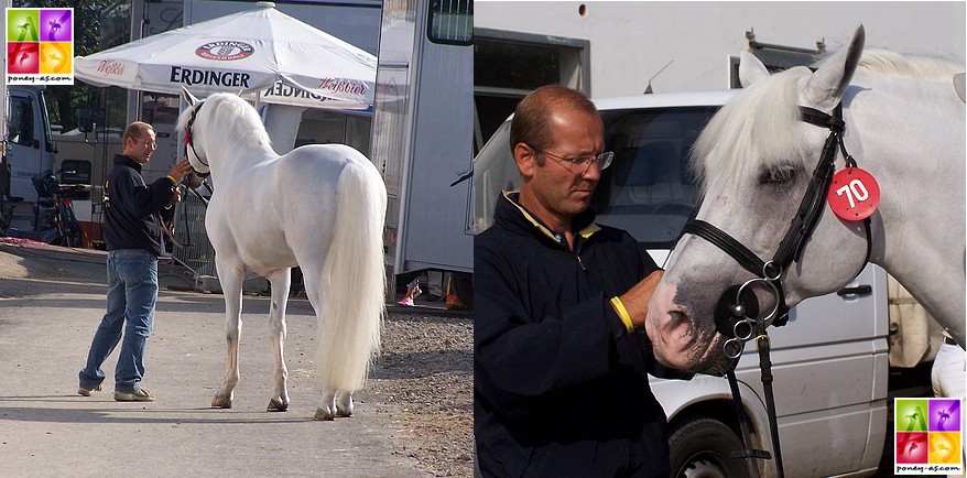 Après la première manche des championnats d’Europe de Freudenberg, Dexter Leam Pondi s’est blessé. Arnaldo Bologni n’a de cesse présenté l’étalon à l’équipe vétérinaire. En vain… Son fils et Dexter ont dû déclarer forfait pour la suite de la compétition. Cette dernière victoire signe la fin de la carrière sportive du légendaire poney né chez Gilles Le Mouellic – ph. Poney As