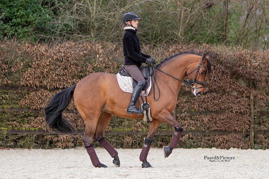 Artiste, Alizée Froment est aussi cavalière internationale de Dressage - ph. Paard&Picture