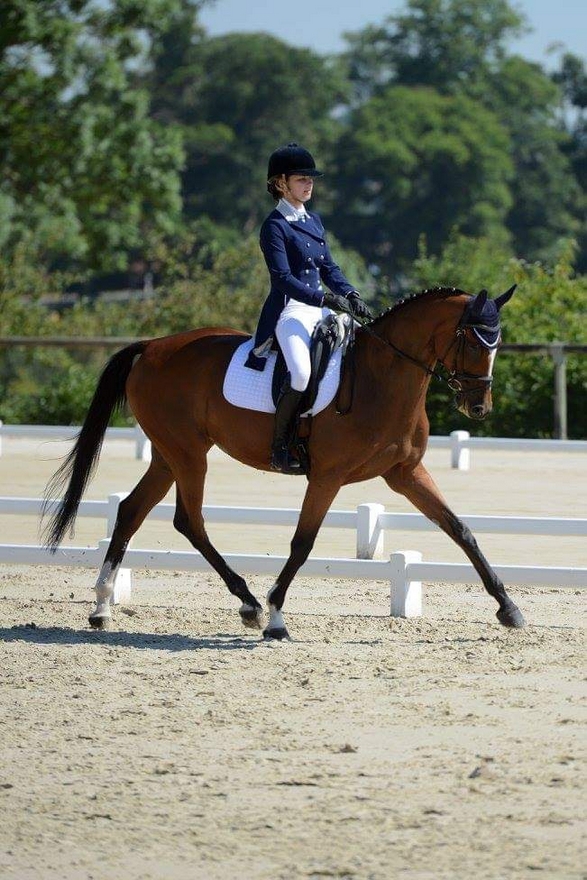 Avec Saga du ManaouIFCE, Héloïse Le Guern a participé aux championnats d'Europe Jeune Cavaliers en 2018 à Fontainebleau – ph. Alexandre