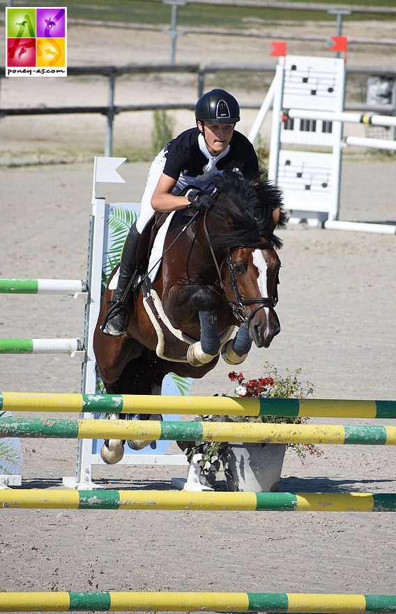 Atoll de Civry, étalon approuvé à reproduire dans le Stud-Book du Poney Français de Selle, a débuté l'an passé les Grands Prix de CSO - ph. Poney As