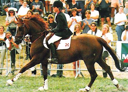 A Lamotte-Beuvron, Simon Delestre et Panama du Cassou ont remporté le championnat de France Grand Prix Elite en 1994 et 1995 - ph. PSV