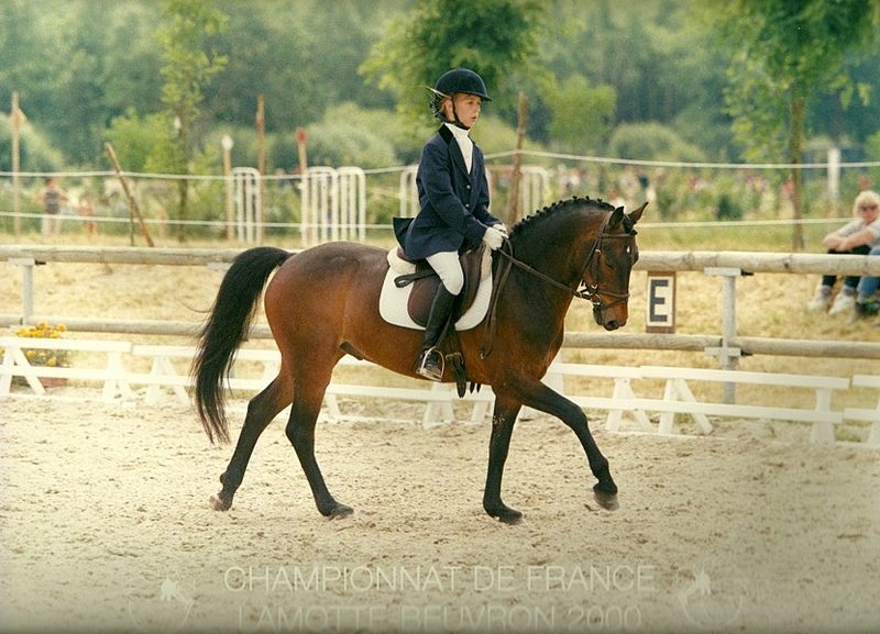 Camille Judet Cheret et son poney Etel du Martray durant les championnats de France de Lamotte-Beuvron. Elle nous confie : « l’achat de mon poney Etel du Martray reste magique car cela a déterminé tout le reste. S’il n’y avait pas eu ce jour, je n’en serais pas là aujourd’hui ! » - ph. PSV