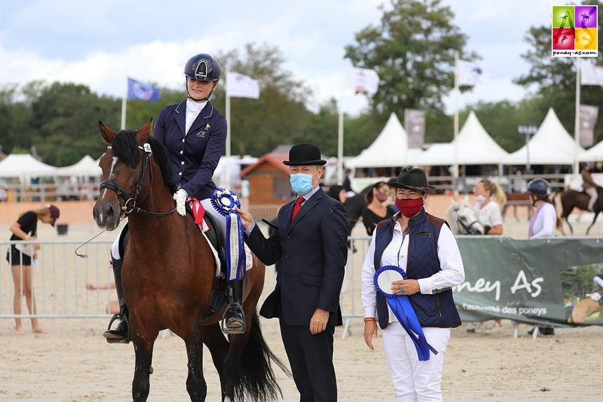 L'étalon Welsh Swyn Barrade est sacré champion Suprême - ph. Poney As