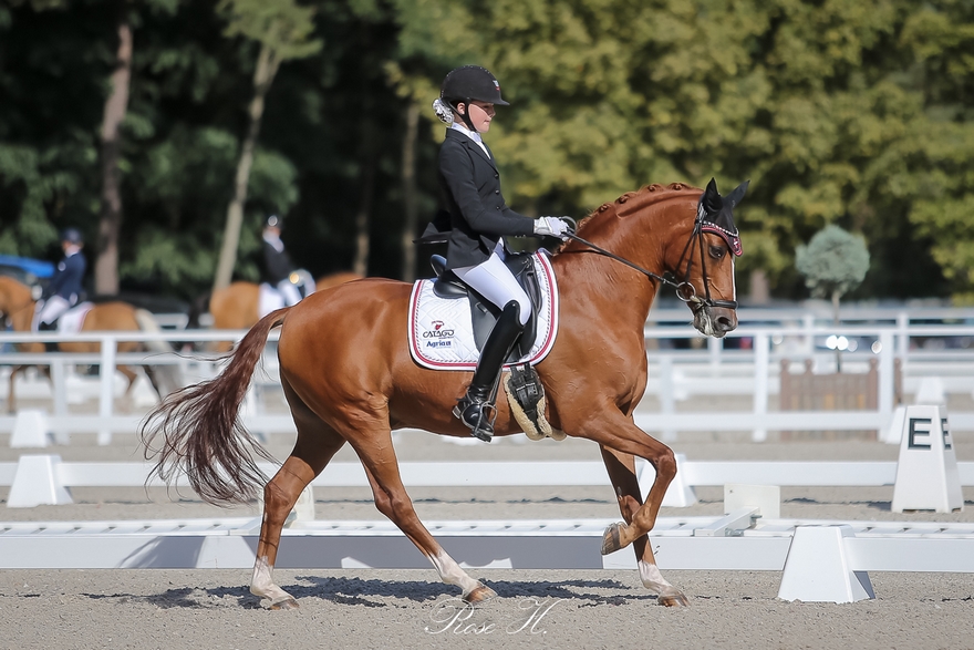 La Danoise Sophia Boje Obel Jørgensen en selle sur Adriano B - ph. Rose Harang