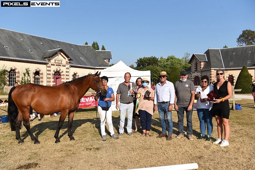 Vagabonde de Taille s'offre la classe des poulinière strès fournie ! - ph. Pixels Events