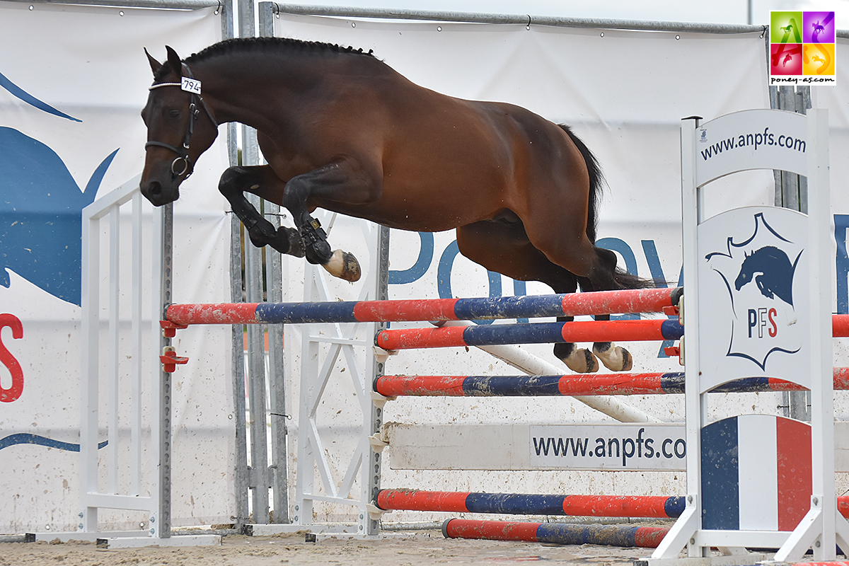 Inédit des Herbages - ph. Poney As