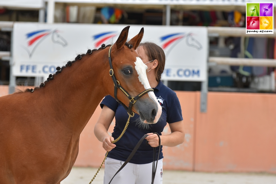 Kilkenny Gravière – ph. Poney As