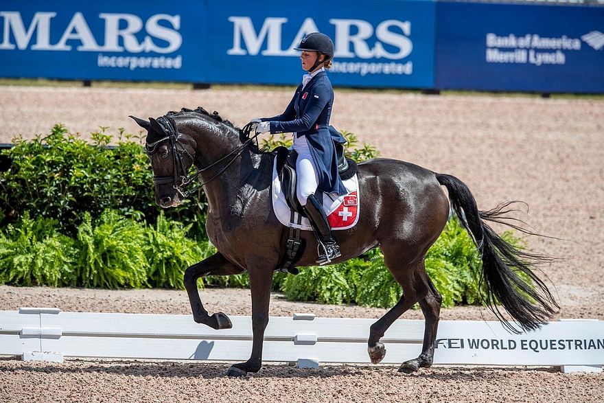 En 2018, Estelle et West Side Story ont été sélectionnées pour la première fois aux Jeux Equestres Mondiaux de Tryon (USA). La cavalière était la deuxième plus jeune participante. « Je ne peux pas décrire cet événement tellement c’est impressionnant d’y être. On se dit « je suis arrivée dans le grand sport, mais il y a encore tellement à faire ! » - Coll. Privée