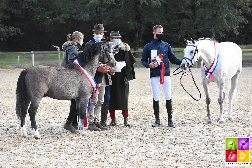 De gauche à droite, Idalgo Dornoa et Habrina de Breilly, respectivement gagnant du championnat des 2 et des 3 ans – ph. Poney As