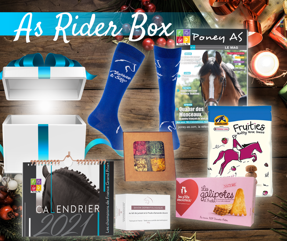 As Rider Box by Poney As