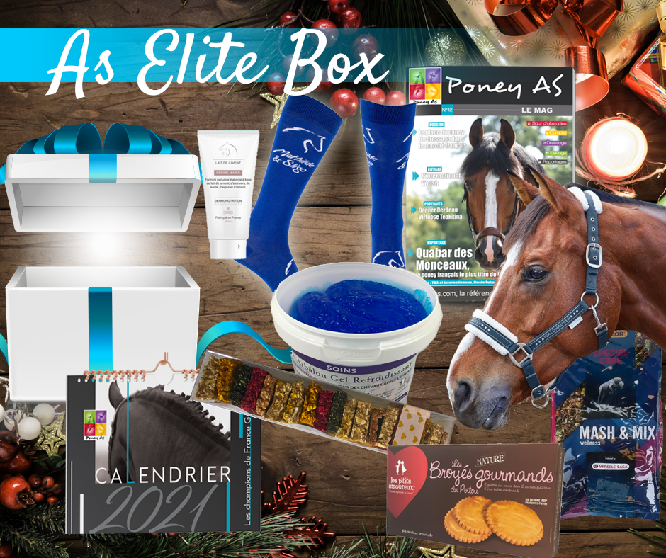 As Elite Box by Poney As