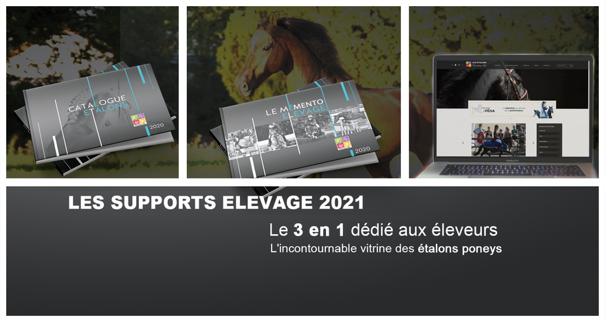 Catalogue Etalons Poney As 2021 : les réservations sont ouvertes ! Bénéficiez de la remise de 10% avant le 15 novembre !