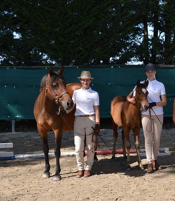 Daysie Pearl et Ityse Pearl lors du Sologn'Pony de 2018 - ph. coll. Bernard Vaucher