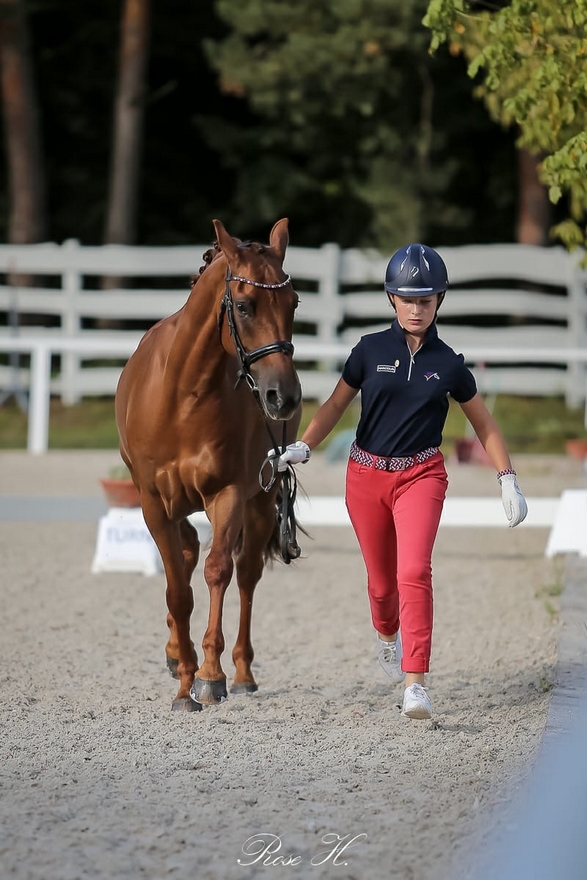 Visite vétérinaire des championnats d'Europe de Pilisjászfalu : Blanche Carré Pistollet présente son complice Dazzling Kid d’Herbord - ph. Rose Harang