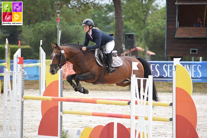 Après Freebox, sacré champion des 5 ans de Hunter en 2020, Flashback Bélébat met lui aussi à l’honneur l’élevage d’Angélique Prin. Champion des 6 ans, il évolue sous la selle d'Amélie Berthault – ph. Poney As