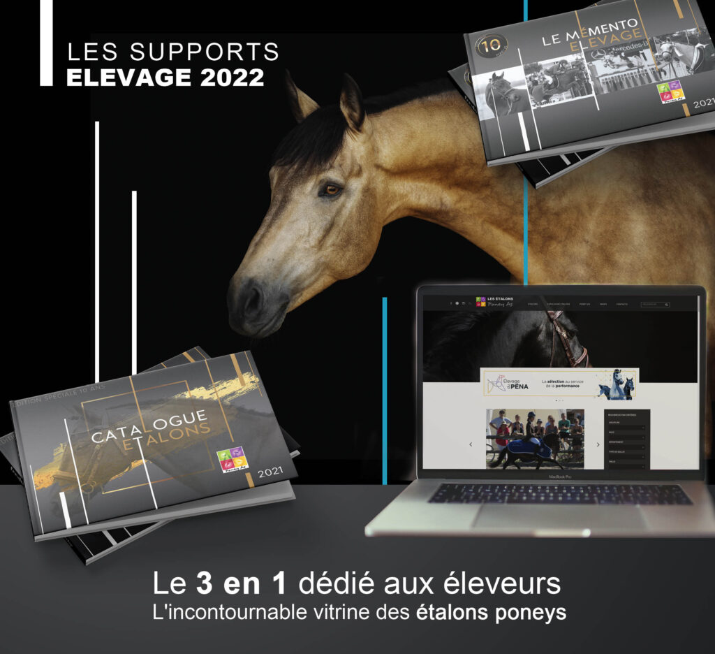 Catalogue étalons Poney As 2022