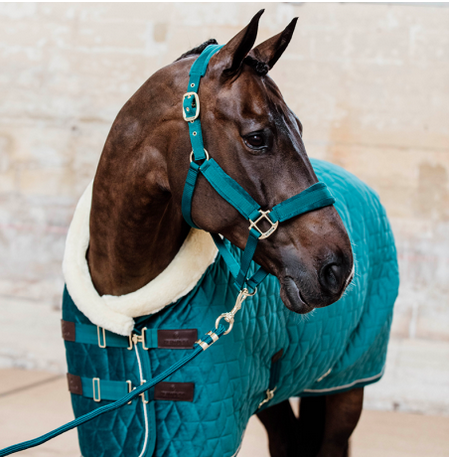 La couverture de présentation Velvet Kentucky Horsewear by Pony Power